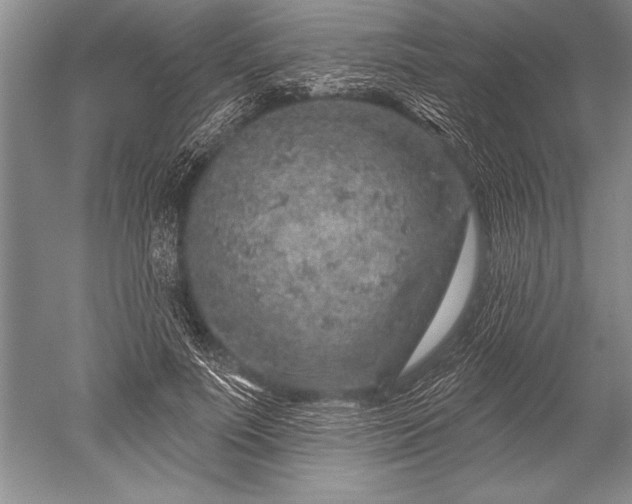 X0000052590691200507081754