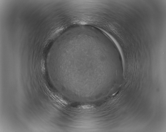 X0000052590692200507081754