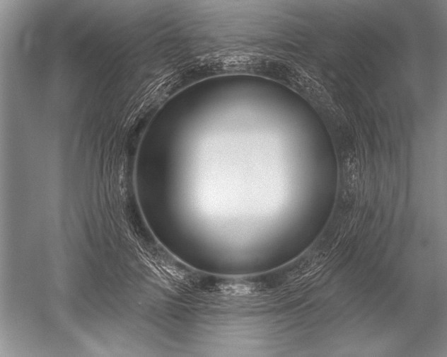 X0000052590698200507081754