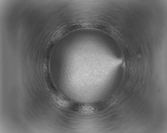 X0000052590702200507081754
