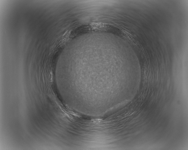 X0000052590703200507081754