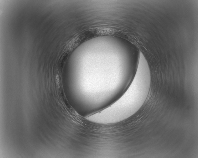 X0000052590716200507081754