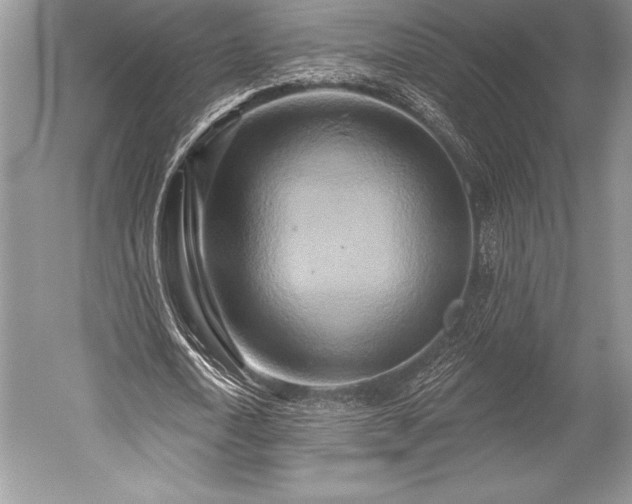 X0000052590722200507081753