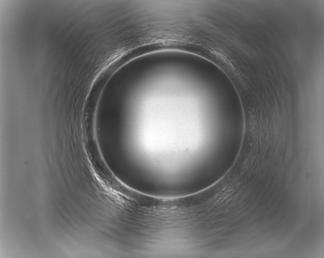 X0000052590730200507081753