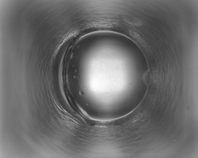 X0000052590731200507081753