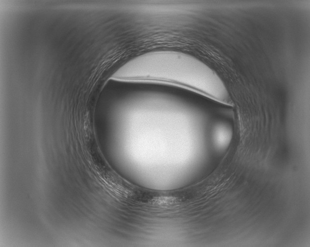 X0000052590748200507081754