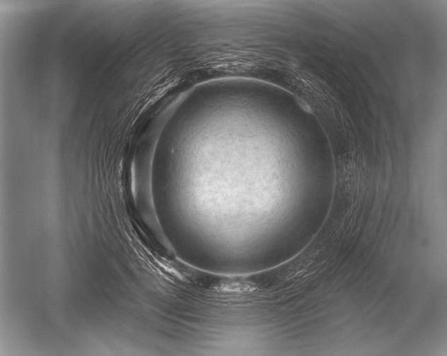 X0000052590752200507081754