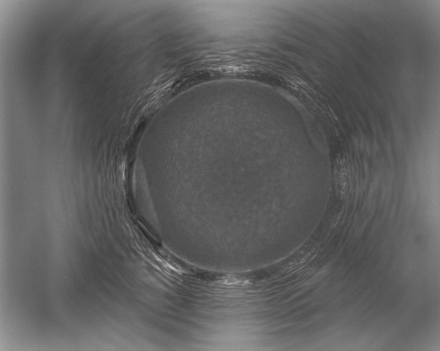 X0000052590760200507081754
