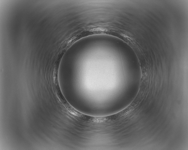 X0000052590767200507081754