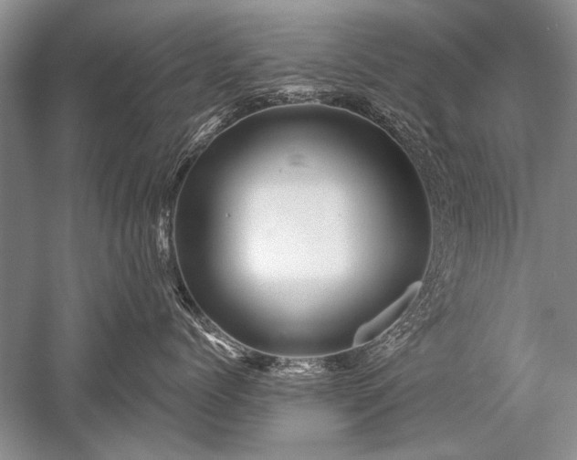 X0000052590768200507081754