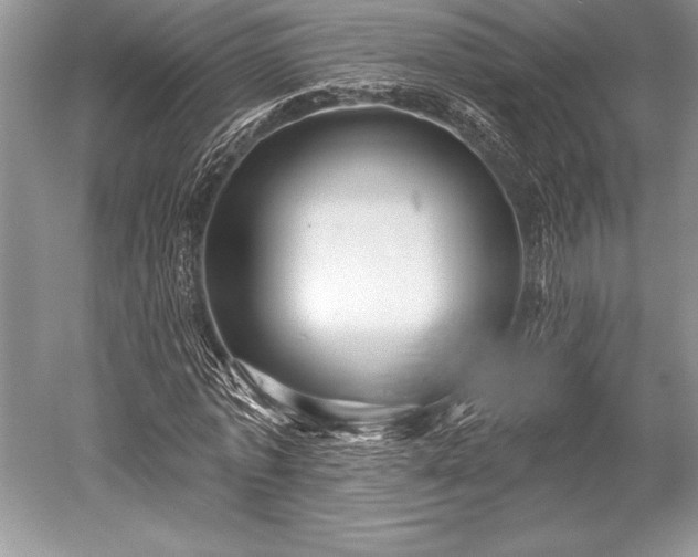 X0000052590773200507081753