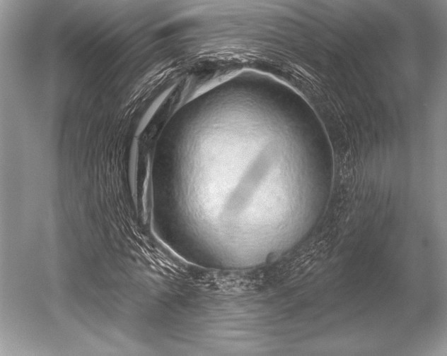X0000052590774200507081753