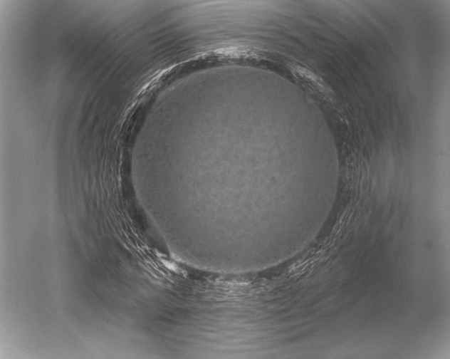 X0000052590776200507081753