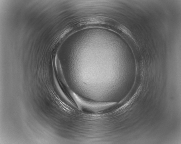 X0000052590777200507081753