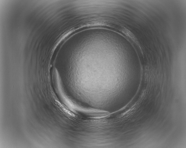 X0000052590789200507081753