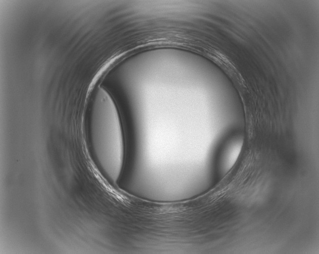 X0000052590796200507081753