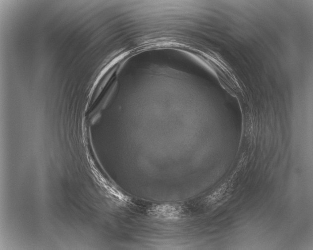 X0000052590806200507081752