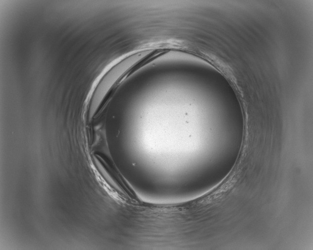 X0000052590816200507081752