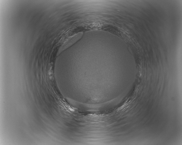 X0000052590818200507081751
