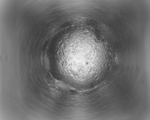X0000052590819200507081751
