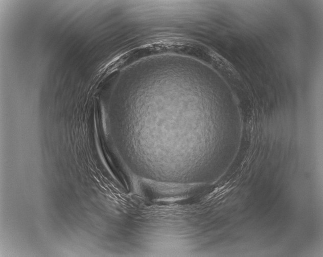 X0000052590822200507081752