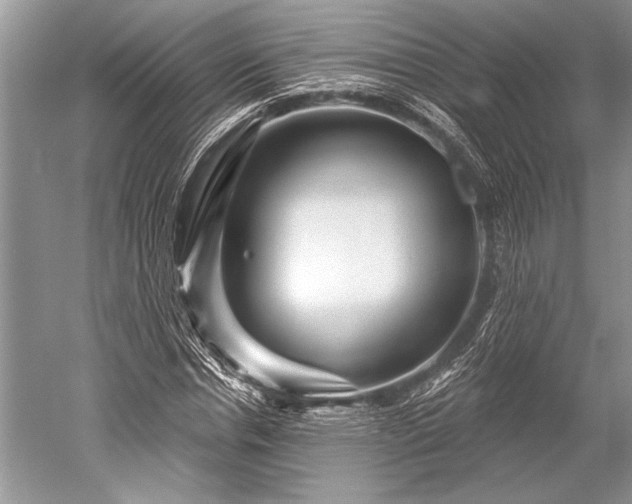 X0000052590826200507081752
