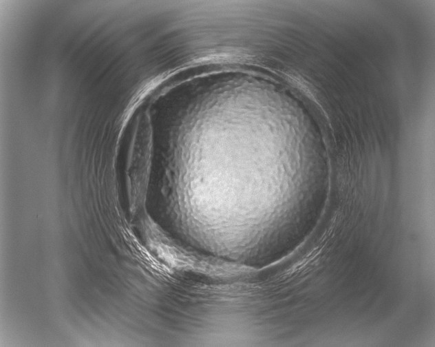 X0000052590831200507081752