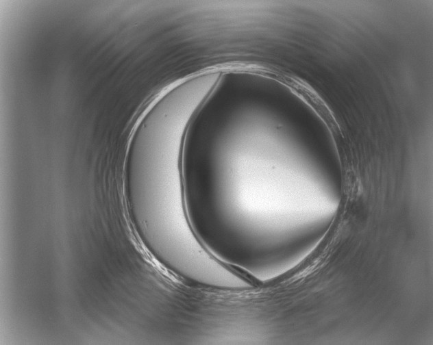 X0000052590860200507081752
