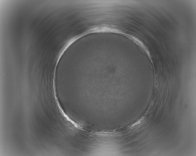 X0000052590863200507081752