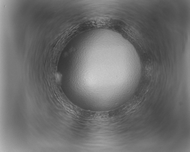 X0000052590865200507081751