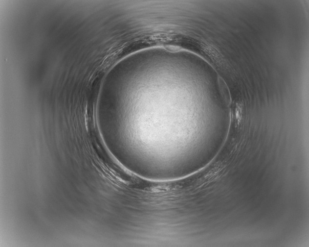 X0000052590867200507081751