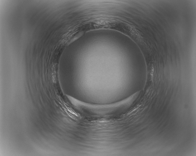 X0000052590868200507081751