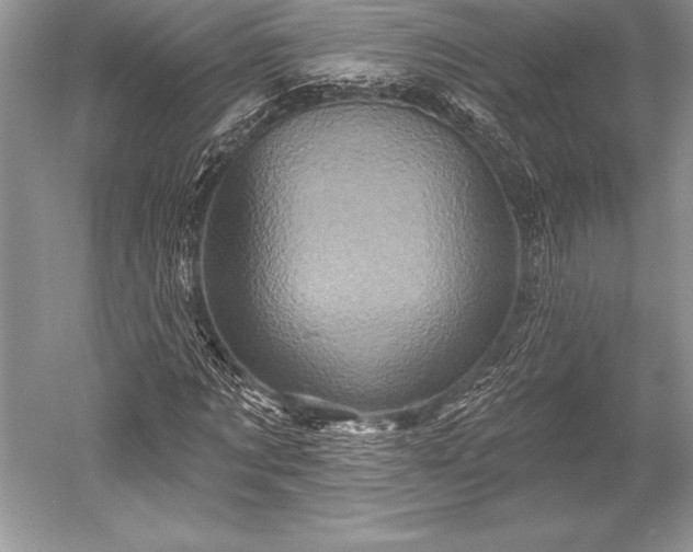 X0000052590869200507081751