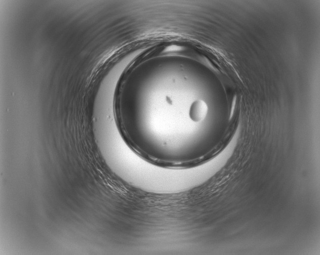 X0000052590871200507081751