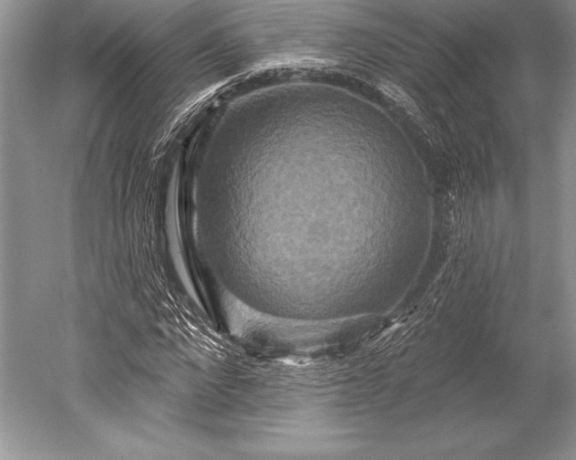 X0000052590872200507081751