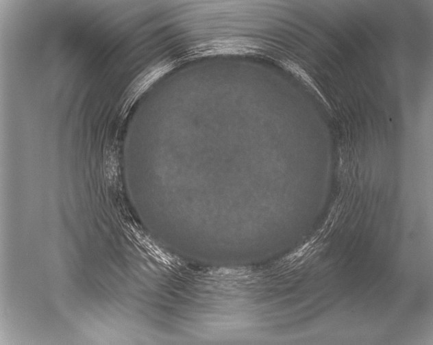 X0000052590874200507081751