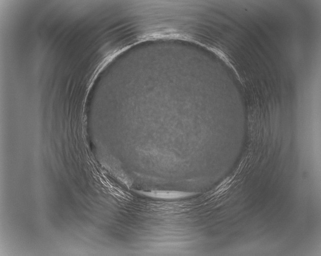 X0000052590879200507081751