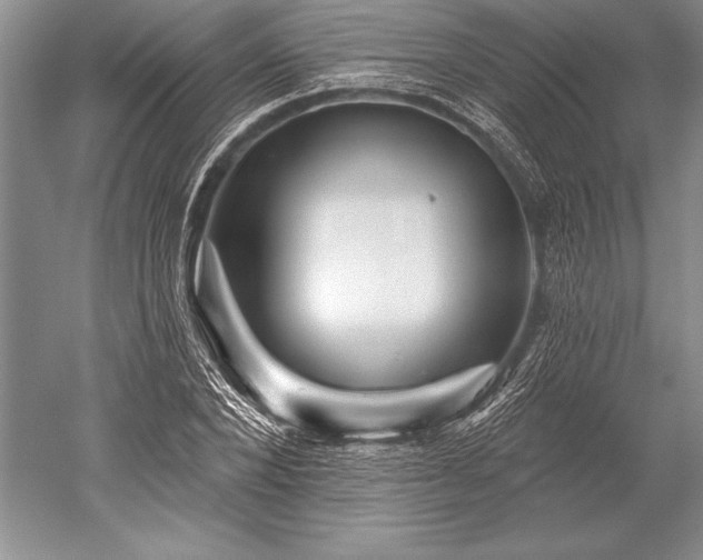 X0000052590880200507081751