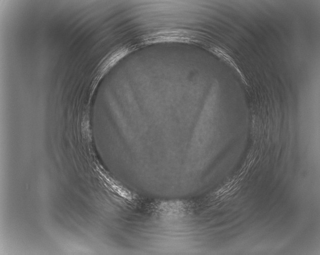 X0000052590882200507081751