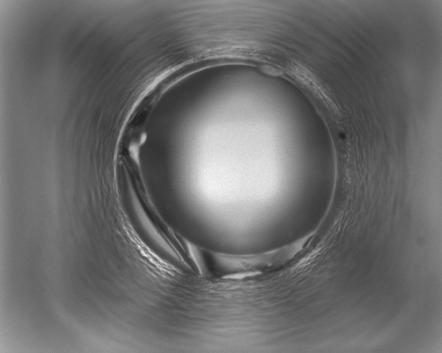 X0000052590884200507081751
