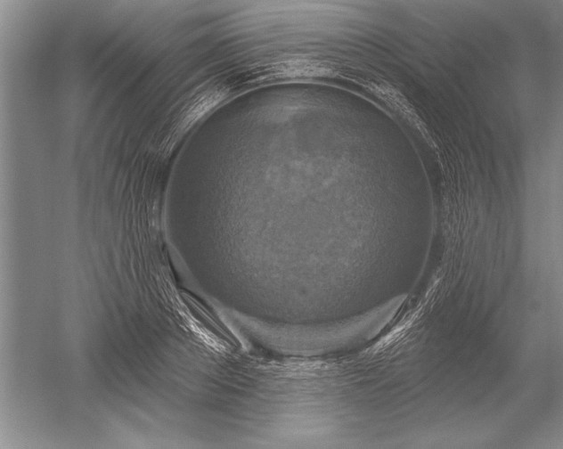 X0000052590889200507081751