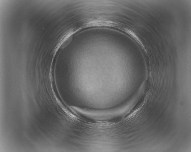 X0000052590893200507081751