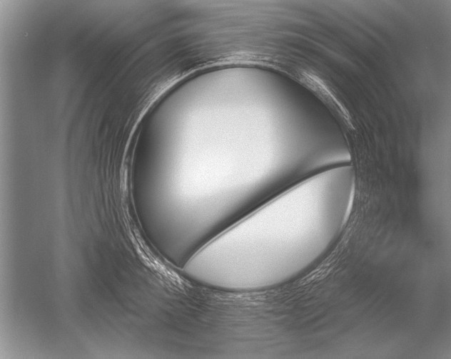 X0000052590900200507081751