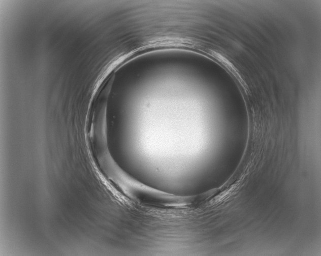 X0000052590901200507081751