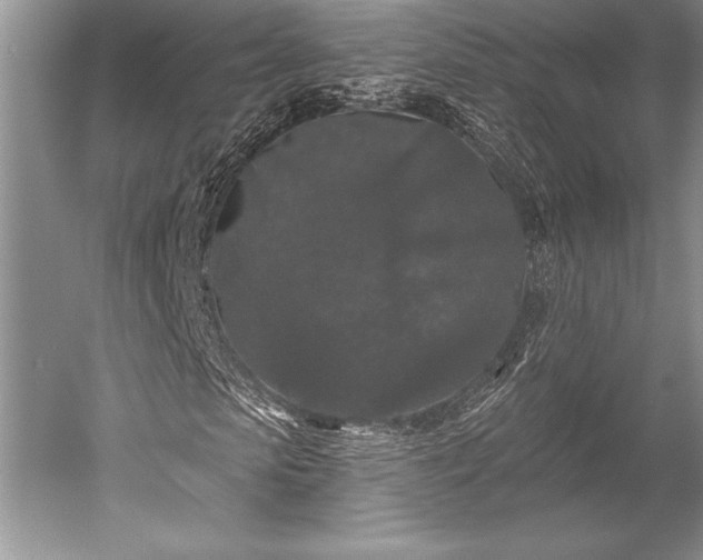 X0000052590913200507081750