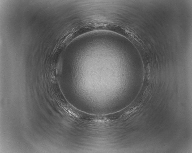 X0000052590916200507081750