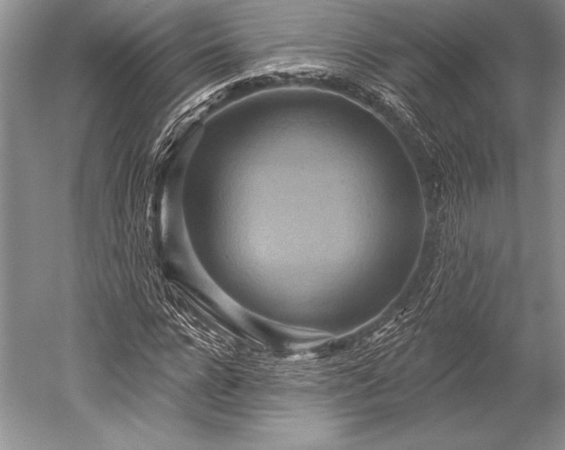 X0000052590920200507081750