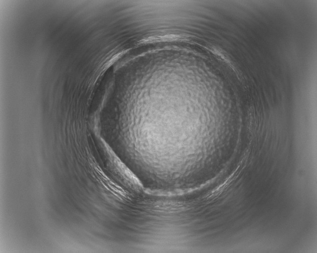 X0000052590921200507081750