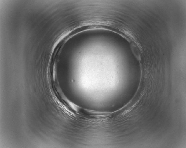 X0000052590928200507081750