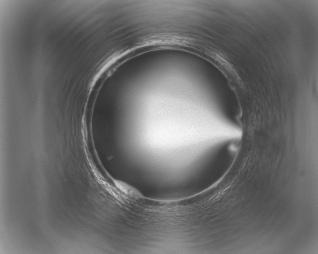 X0000052590936200507081750
